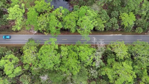 Ormond Beach Scenic Loop Drive Landscape Stock Footage 257353360