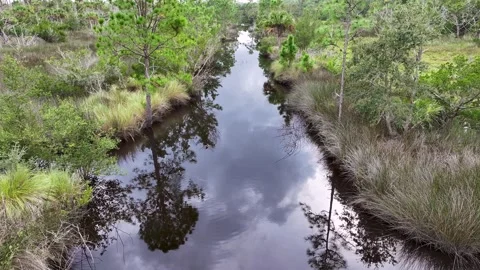 Ormond Beach Scenic Loop Drive Landscape Stock Footage 257358033