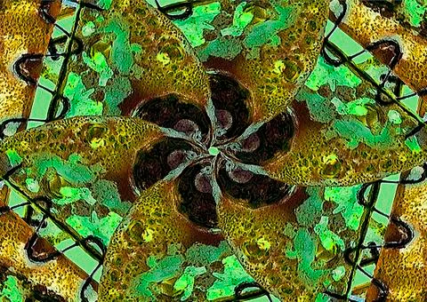 Ornament abstract artwork イラスト素材