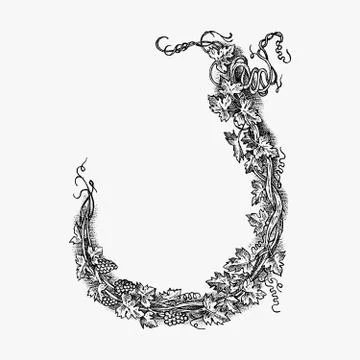 Ornament with calligraphic elements. Frame in baroque style. Medieval vintage Illustrazione stock