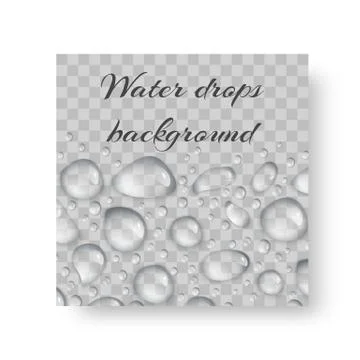 Ornament with drops of dew Stock Illustration