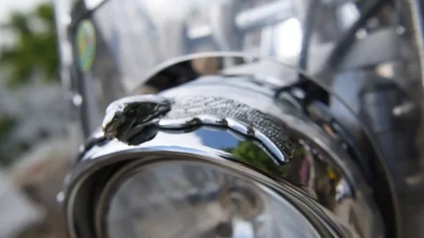 Ornament eagle in front of a fable on the headlight Stock Footage 78539096