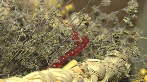 Ornament Lying in the Grass Dried Stock Footage 72437863