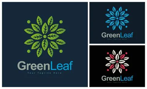 Ornament pattern green leaf colourful set modern luxury art and craft 스톡 일러스트