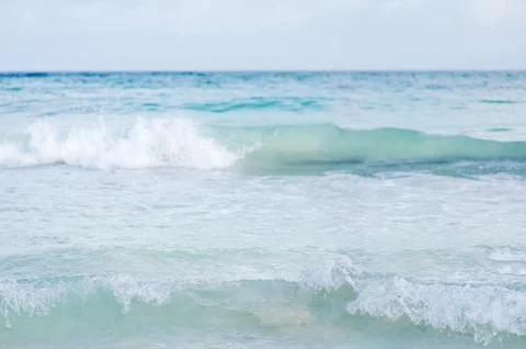 Ornament Stock Photos