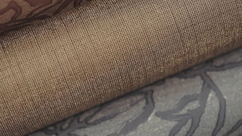 Ornament on wallpaper close-up Sample in the store. Stands with rolls of Vidéo 124527027