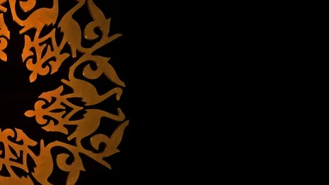 Ornamental Birds Stock Footage 75874573
