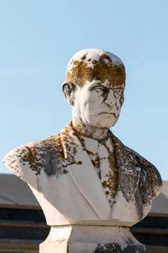 Ornamental bust Stock Photos