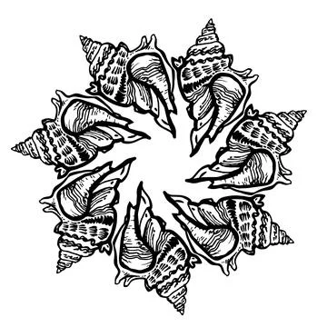 Ornamental circle frame from seashell in black ink isolated on white. Stock Illustration