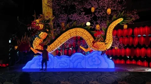 Ornamental dragon lights Stock Footage 296676973