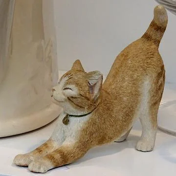 Ornamental Ginger Cat Stock Photos