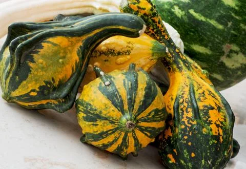 Ornamental gourds on the table Stock Photos