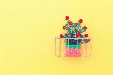 Ornamental 库存照片