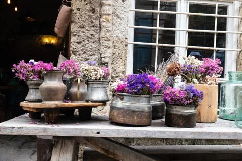 Ornamental plants of different types in pots on the bench Stock Photos