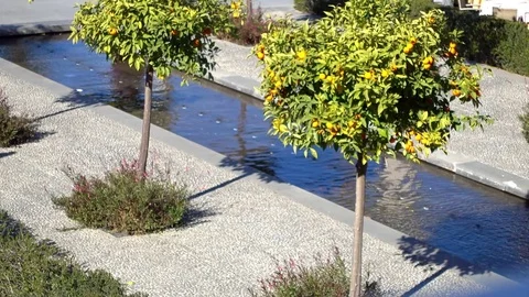 Ornamental pool around Chapel of Port of Malaga Stock Footage