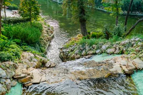 Ornamental pool in the forest Stock Photos