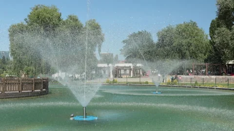 Ornamental pool in the park Stock Footage 65856135