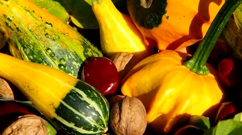 Ornamental pumpkins, walnuts and conkers as a decoration Stock Footage 42183308