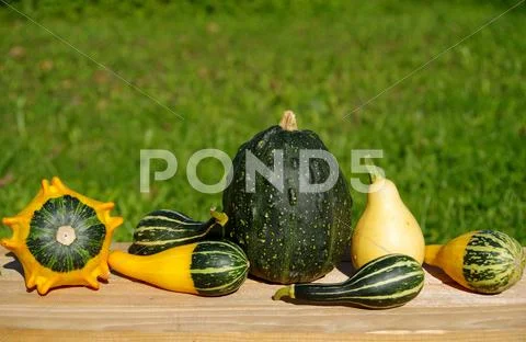 Ornamental pumpkins on wooden table Stock Photos