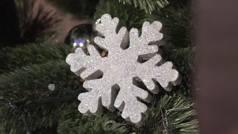 Ornamental Snowflake on Tree Stock Footage 115028924