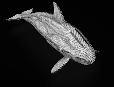 Ornamental structural design of Whale. 3D illustration Stock Illustration