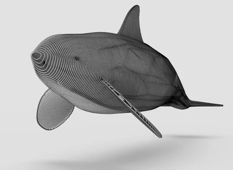 Ornamental structural design of Whale. 3D illustration Stock Illustration