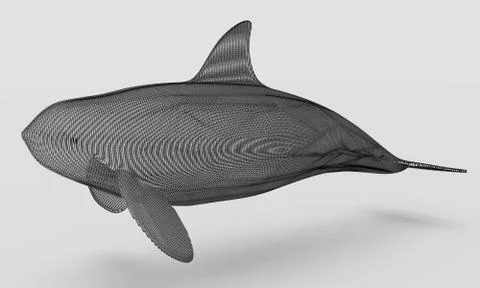Ornamental structural design of Whale. 3D illustration Stock Illustration