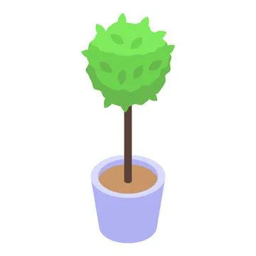 Ornamental tree growing in pot isometric view Stock Illustration
