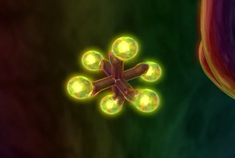 OrnamentB 2 Video stock 1055732