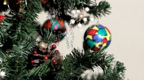 Ornamented tree Stock Footage 21224172