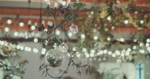 Ornaments Hanging From Branch Stock Footage 75464942