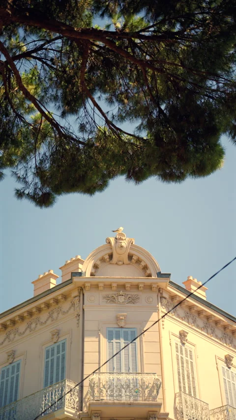 Ornate building details with classical elements under a clear sky, featuring Stock Footage 342963937