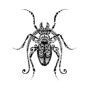 Ornate Exotic Beetle Stock Illustration