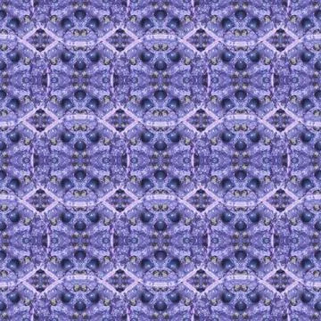 Ornate Modern Collage Baroque Pattern Digital collage technique modern orn... Stock Photos