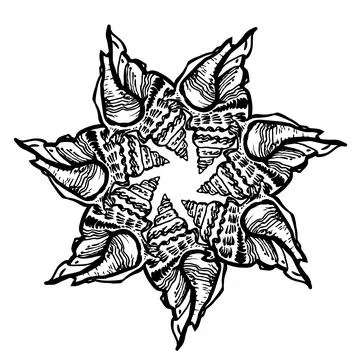Ornate round frame from seashell in black ink isolated on white. Stock Illustration