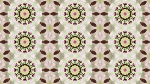 Ornate spring kaleidoscopic texture with three lines of abstract cherry flowers. Vídeos de archivo 57683588