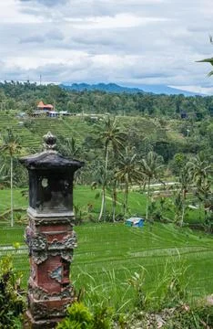 Ornate Stone Altar Overlooking Cascading Agricultural Fields Fotos de archivo