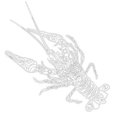 Ornate zentangle crawfish drawing Stock Illustration