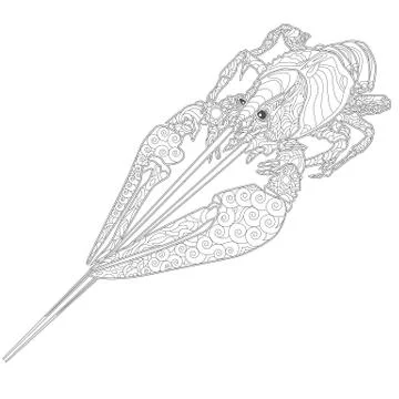 Ornate zentangle crawfish drawing Stock Illustration