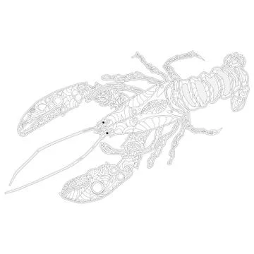 Ornate zentangle crawfish drawing Stock Illustration