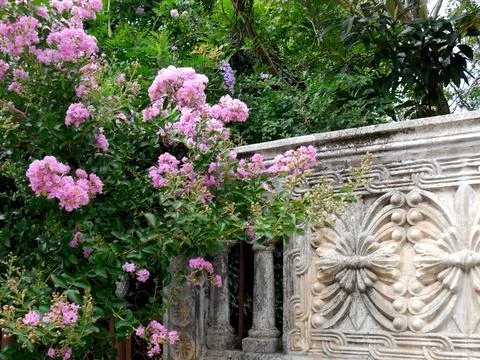 Ornately patterned wall with pretty pink flowers, Kutaisi, Georgia. Stock Photos