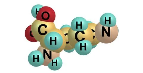 Ornithine molecular structure isolated on white Stock Illustration