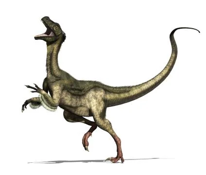 Ornitholestes Dinosaur Stock Illustration