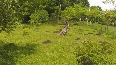 Ornithologist closing up his blind, field work 스톡 동영상 97928131