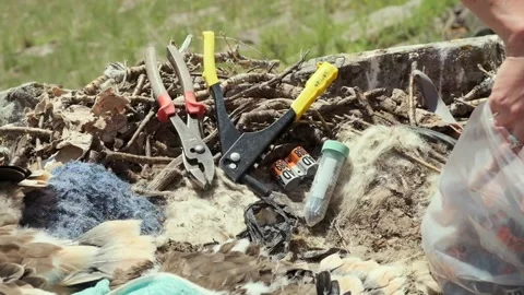 Ornithologist's Tools Are in the Eagle's Nest. Stock Footage 259538342