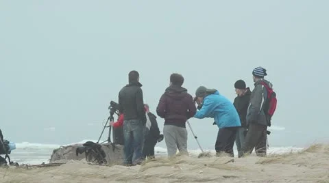 Ornitologists at seaside in winter, watching sails Video stock 10834202