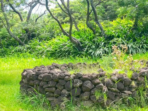 Orongo, the relevance of Easter Island. Stock Photos