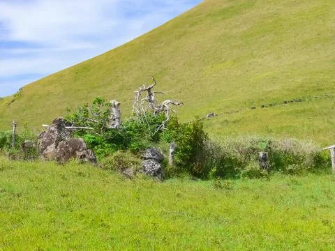 Orongo, the relevance of Easter Island. Stock Photos