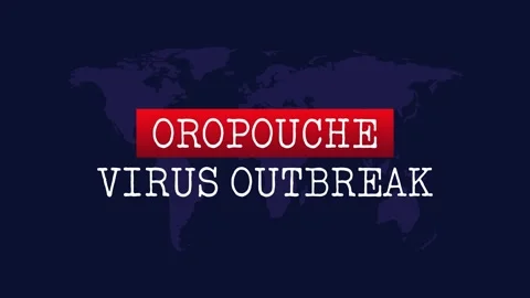 Oropouche virus outbreak alert. Sloth fever warning. Stock Footage 302846853