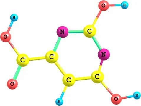 Orotic acid molecular structure isolated on white Stock Illustration